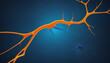 © Boris - Orange and Blue neurons, neural network connections visualization