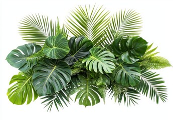 Wall Mural - An assortment of lush tropical plants (monstera, palm, rubber plant, pine and fern), cut out of a tropical bush