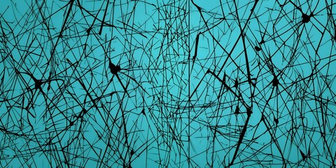 Wall Mural - Abstract black lines on a turquoise background.