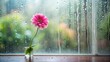 © Indigo Studio - A solitary pink flower blooms in a glass vase placed on a windowsill, the rain-streaked windowpane blurring the vibrant greens of the outdoors.
