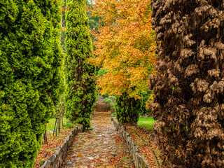 Sticker - View Down Lond Steep Autumn Steps