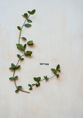 Aufkleber - Minimalist Graphic of Fresh Green Leaves Forming NATURE on a Beige Wooden Surface