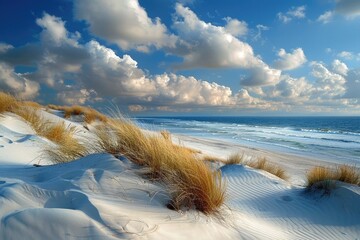 Beach Dunes. Beautiful Baltic Sea Coastline with White Sand Dunes and Blue Sky