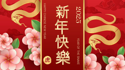 Wall Mural - chinese new year 2025 celebration vector illustration on red background