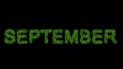 Sticker - Beautiful illustration of September text with green grass effect on plain black background