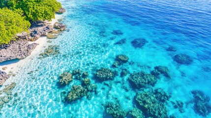 Sticker - Serene Tropical Beach with Clear Blue Water and Coral Reefs