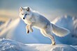 © Caitlin - In mid-air, a translucent Arctic fox leaps with poise, showcasing its agile grace against a spotless background,