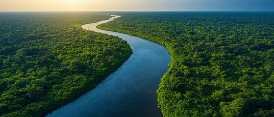 Wall Mural - Aerial view of a river winding through a lush green forest.