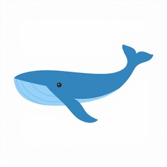 Poster - whale illustration isolated on white