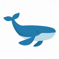 Wall Mural - whale illustration isolated on white