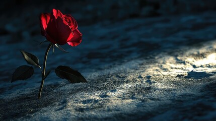 A lone red rose in bloom, dramatically illuminated by the moonlight, with the moon casting long shadows in the background