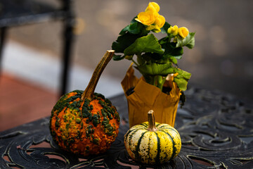 Halloween decorations. Halloween pumpkin and skeleton for decorated house. Scary Decorated at front yard of a American home. Trick or treat. Halloween background. Autumn holiday of Halloween.