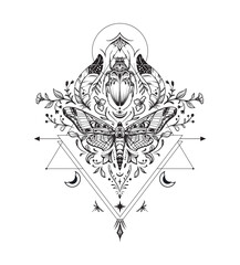vector composition of black and white moth, plants, elements of astrology and sacred geometry isolat