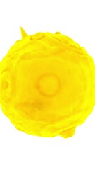 Wall Mural - vibrations on surface of ball on white background. design. 3d colored ball rotates and oscillates on