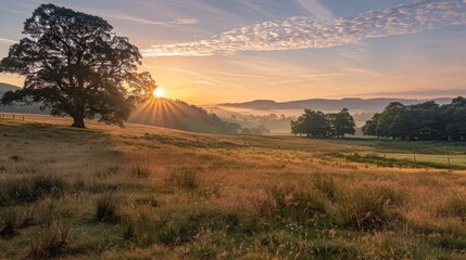 Sunrise above meadow and woodland