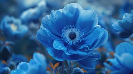 Stunning azure bloom