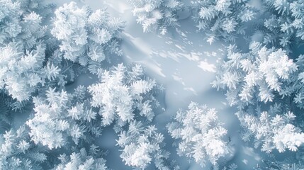 Snow covered forest bushes for natural background design