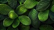 © NeuralNiche - Spiky green prickly pear cactus leaf background