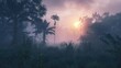 © CryptoCanvas - Morning fog obscures sunrise in tropical rainforest