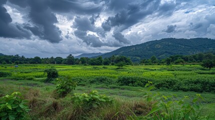 Overcast sky with sunny intervals during monsoon