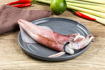 Raw fresh squid for cooking