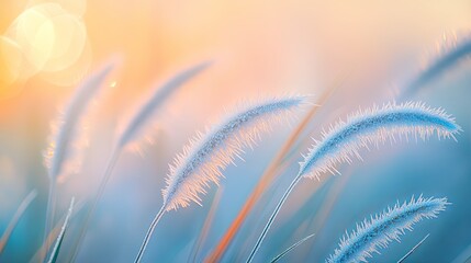 Sticker - A serene close-up of soft grass illuminated by gentle sunlight, creating a dreamy, tranquil atmosphere.