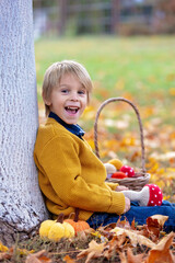 Wall Mural - Cute blond child, boy, playing with knitted toys in the park, autumntime