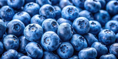 Canvas Print - Extreme close-up of fresh ripe organic blueberries, creating a vibrant and textured background, blueberries, macro, ripe