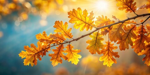 Sticker - Autumn oak branch with golden leaves illuminated by sunlight , autumn, oak tree, branch, sunlight, golden, leaves