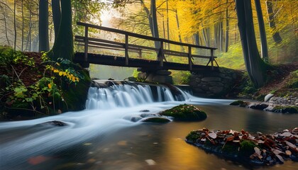 Wall Mural - Serene Autumn Stream Flowing Beneath a Rustic Wooden Bridge Surrounded by Vibrant Forest Foliage