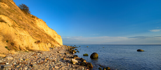 Wall Mural - Coast of the Baltic Sea with Boulders and Cliff in the Warm Light of the Setting Sun, Rügen Island, Germany