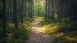 © Yeivaz - Nature trail and hiking path in forest. Forest scene with hiking path, straight trail through forest