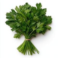 A photostock images of fresh sprig of parsley leaf isolated on a clean white background