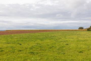 field with sweet corn after harvest in indian summer light symbolizing agriculture area in the Baden Baden area