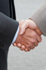 Two gentleman shaking hands.