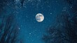 © Seemi - A clear winter night sky with a bright full moon and twinkling stars.