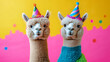 © john - Two alpacas in crazy party outfits with party hats on colorful background, advertising, creative party animal concept, copy space, birthday party invitation card