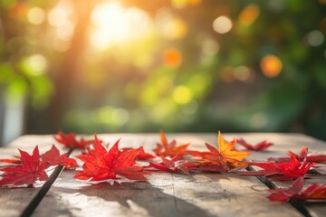 Wall Mural - Autumn background scene with red maple leaves on table with sunlight. Natural seasonal home decor for fall season, thanksgiving and holiday showroom with generative ai