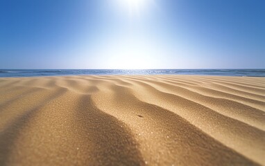 golden sandy beach under a bright sun with clear blue sky and calm ocean waves. serene and tranquil 