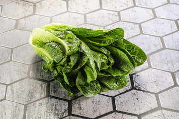 Wall Mural - Green fresh juicy Romano salad