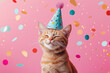© Anna - Creative animal concept with cat. Birthday party card, invite invitation banner