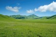 © Gatherina - Green grass growing on vast field with mountains under blue cloudy sky