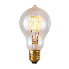 Vintage light bulb is glowing, illuminating the complex filament inside