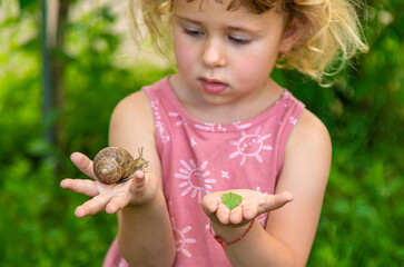 Wall Mural - Child holding a snail on his hand. Selective focus.