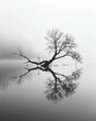 © Michael Schauer - Solitary Tree Reflected in Calm Waters