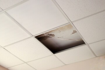 photography of a ceiling tile damage by water.mildew.brown stain, office building.a nasty ceiling wi