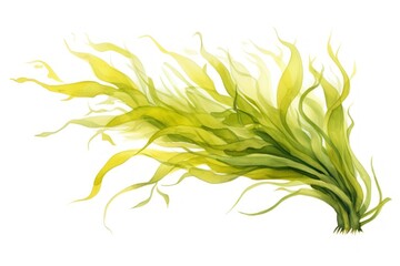 Canvas Print - Seaweed plant freshness abstract, digital paint illustration.  image