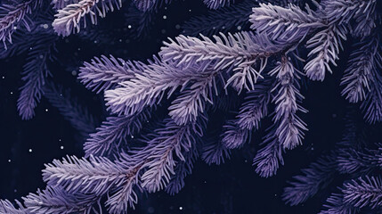 Snowy Christmas tree branches or snowy Christmas fir tree on a dark purple background