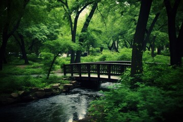 Poster - Japanese garden outdoors woodland nature.