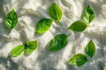 Wall Mural - Green Leaves Scattered on White Linen Fabric